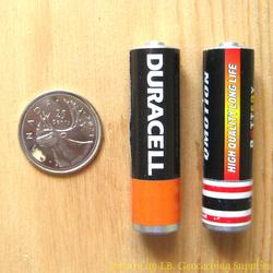 Fake Battery Geocaches
