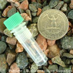 Plastic 1ml Nano Geocache Container with Green Cap and O-Ring